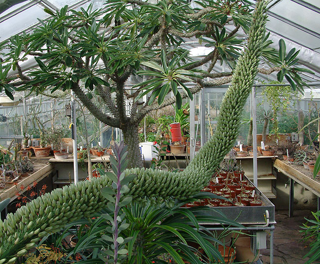 image/botanisk_have-246.jpg