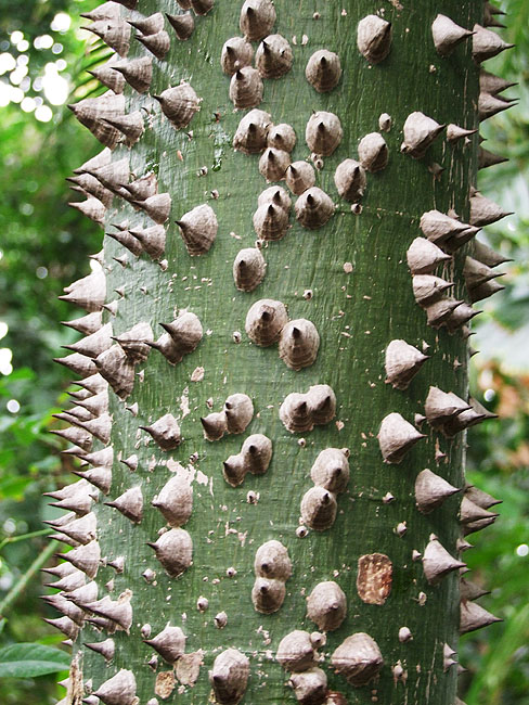 image/botanisk_have-813.jpg