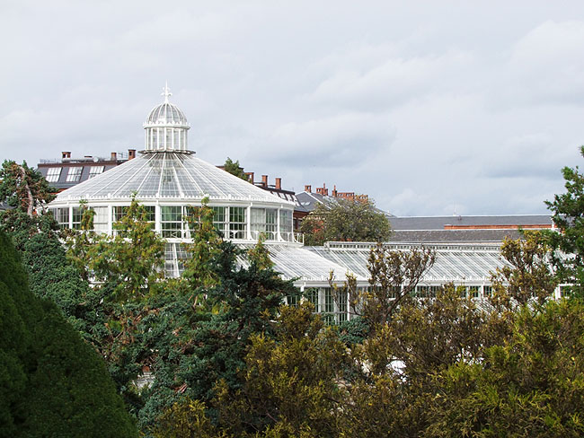 image/botanisk_have-859.jpg