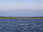 image/_dragesurfing-76.jpg