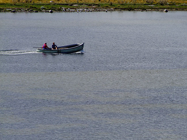 image/motorjolle-824.jpg