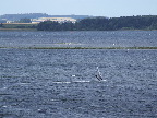 image/_windsurfer-436.jpg