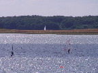 image/_windsurfer-76.jpg