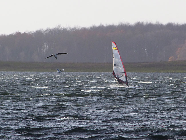 image/windsurfer-825.jpg