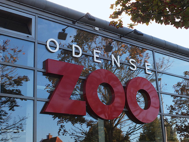 image/odense_zoo-1794.jpg