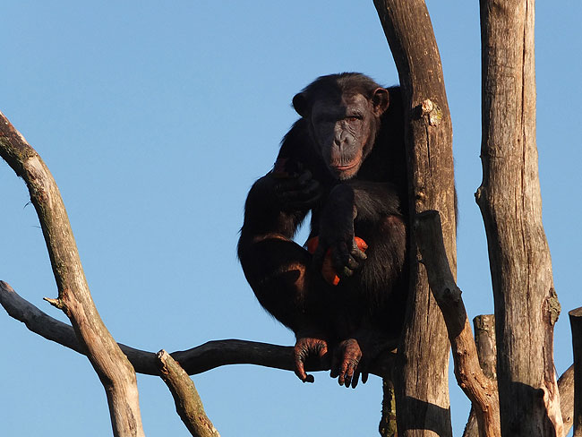 image/odense_zoo-1799.jpg